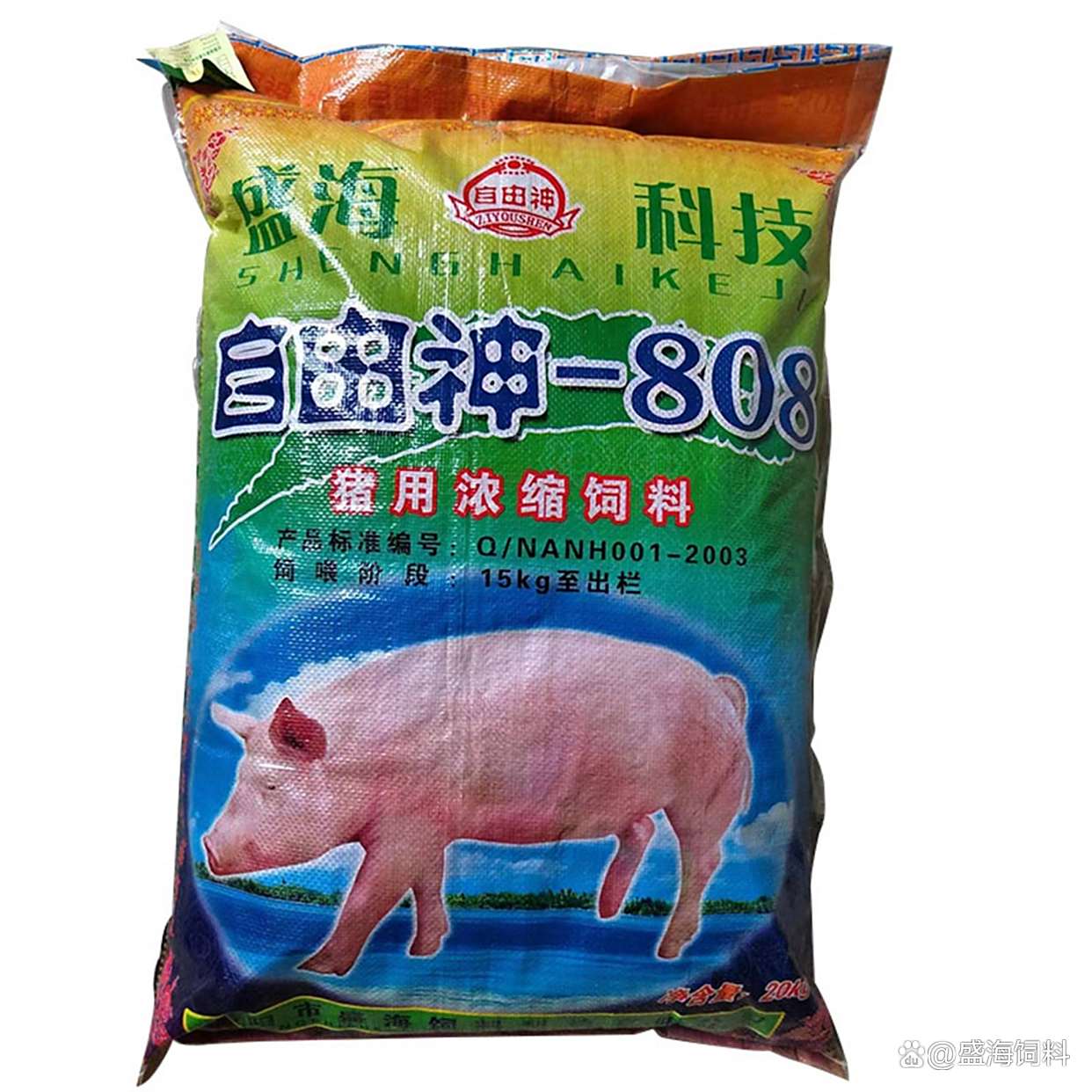 云南小猪饲料精选指南 健康成长的基石